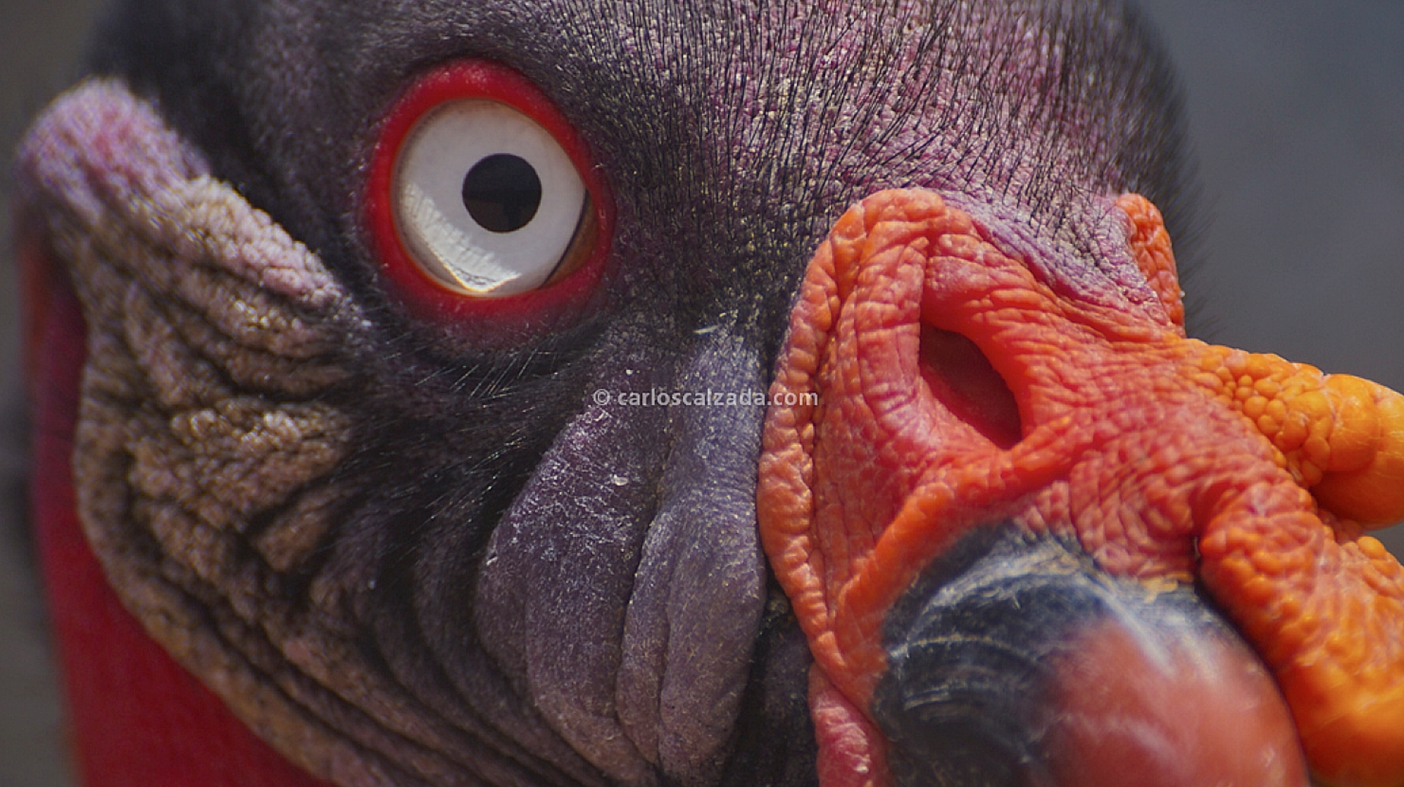 Captura de pantalla 2024-05-01 205108.png